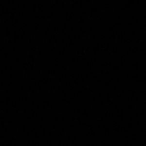 Meet your Posher, Landon